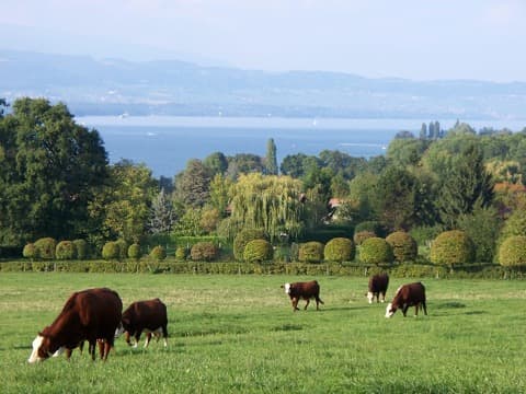 Élagueur Chens-sur-Léman