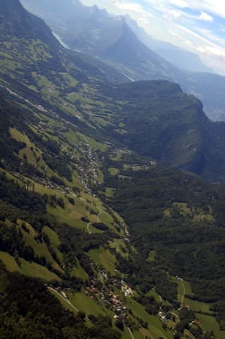 Élagueur Dingy-Saint-Clair