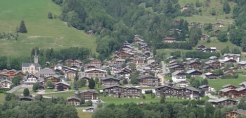 Élagueur Praz-sur-Arly